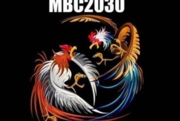 MBC2030 Live Sabong: The Ultimate Guide to Enjoying the Exciting World of Cockfighting